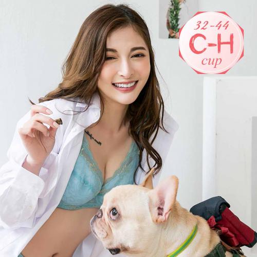 【 C-H Large Size 】 Skin friendly silk cotton wrapped tote underwear, purple skin, black green - Wire