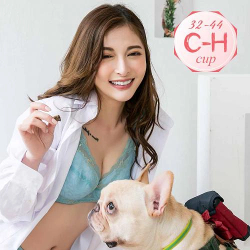 【 C-H Large Size 】 Skin friendly silk cotton wrapped tote underwear, purple skin, black green