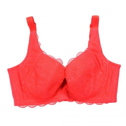 【 C-D size MIT 】 Create a well shaped chest device, accessory breast disappearance function, breathable function underwear professional fat nourishment series