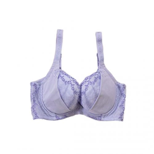 Weiyu Lace Small Sexy Concentrated Adjusting Underwear Professional Fat Maintenance Series