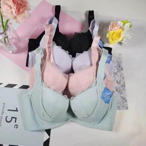 曼妙曲線