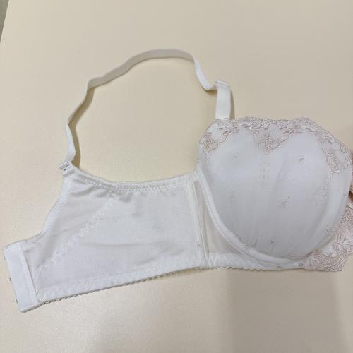 日本少女心甜美刺繡雪紡大罩內衣